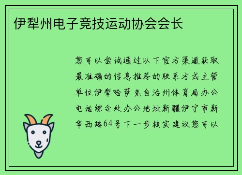 伊犁州电子竞技运动协会会长